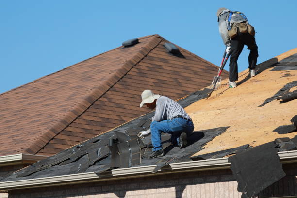 Best Roof Ventilation Installation  in Folsom, NJ