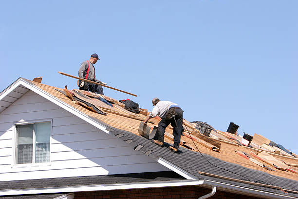 Best Hot Roofs  in Folsom, NJ